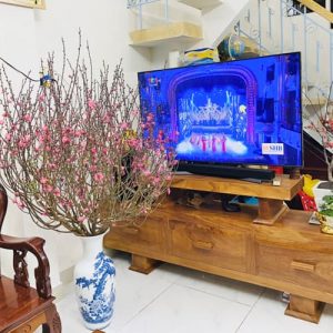 Đào Cành - Cành Đào Tết